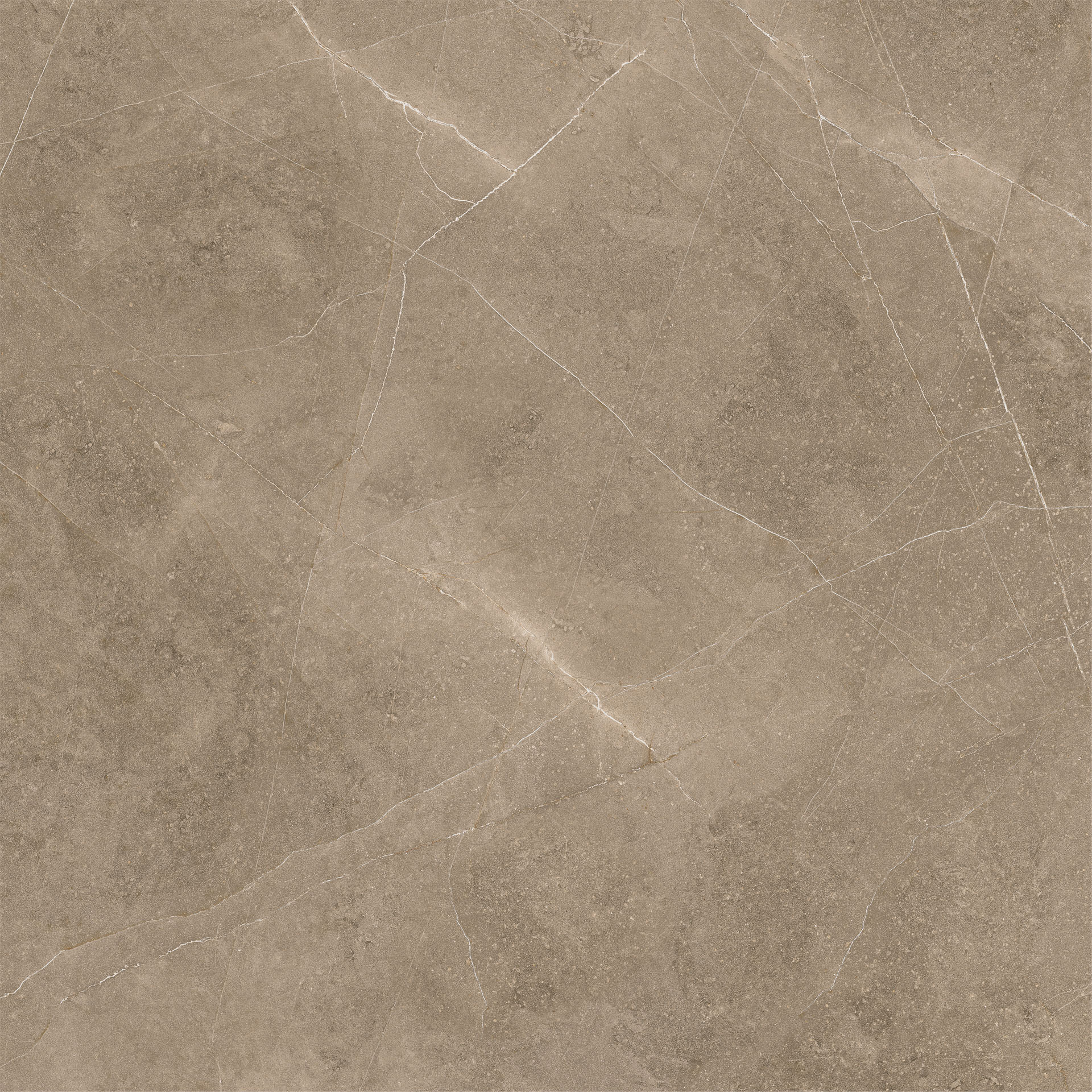Pločica Elegant Taupe 60x60 Zorka keramika Pločica Elegant Taupe 60x60 Zorka keramika